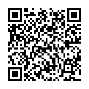 尤其是比苏紫萱早出道的一名叫做张意涵的女歌手二维码生成