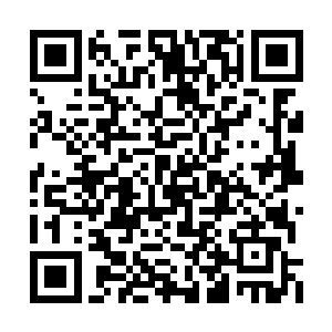 尤其是洞下洞里发现这种对阳光比较需要的植物二维码生成