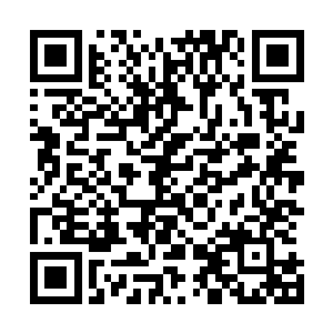 尤其是独孤墨在看到曹珊珊这位绝色美少女的英勇表现之后二维码生成