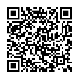 尤其是现和龙皇差距越来越大龙耒阳也身死之后二维码生成