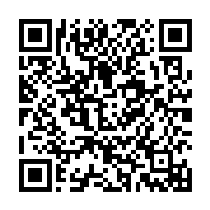 尤其是现在九焰天火塔本身所解放出来的力量也并不多二维码生成