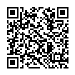 尤其是生命古树的藤蔓根系吸收了地下无尽的养分二维码生成