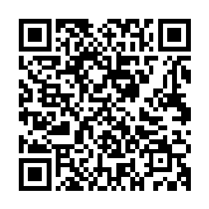 尤其是电影学院和戏剧学院这样的专业院校教出来的俊男靓女们二维码生成