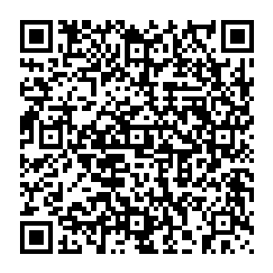 尤其是看到朱平安身后跟着的会稽酒楼的伙计手里提着的三个硕大的双层食盒以及两大坛绍兴老酒二维码生成