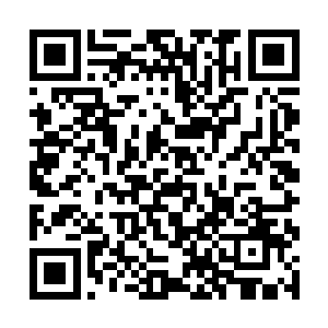 尤其是看着那只敢轻拿轻放的东西被抓着乱挥的时候二维码生成