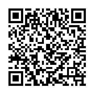 尤其是神魄吸收了朝阳初升时的第一缕氤氲紫气二维码生成