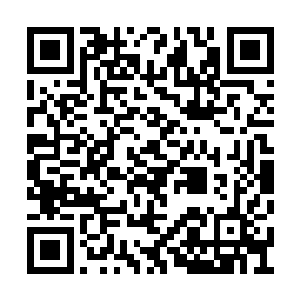 尤其是秦方和苏小小的真气算起来是共根同源的二维码生成