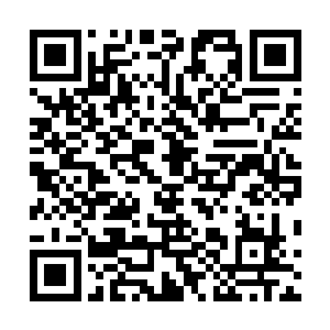 尤其是肥硕的脑袋上不断冒出白色液体更是让人感觉恶心二维码生成