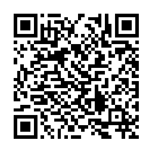 尤其是能够一直留在这天坑中修炼的伏家当代老祖二维码生成