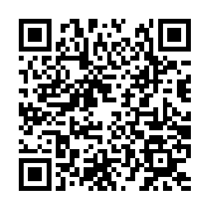 尤其是能站在这个庙堂上的人不管是奸臣还是忠臣二维码生成