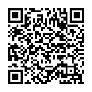 尤其是西天大帝梦天罗本人更是始终都没露过面二维码生成