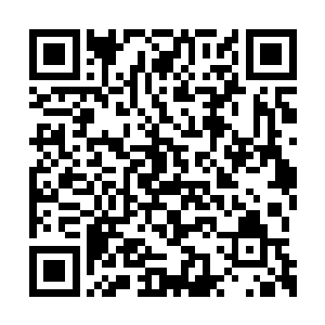 尤其是西谷的那位更是达到了大圣域九重天巅峰二维码生成