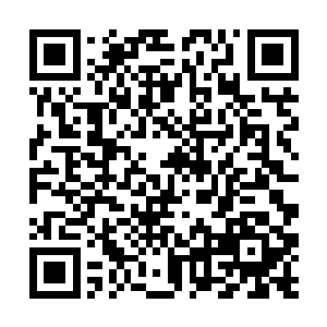 尤其是许胜等五个当初和许紫烟在内堂交过手的弟子二维码生成