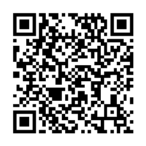 尤其是这款软件的智能逻辑综合跟版图规划能力更是强大二维码生成