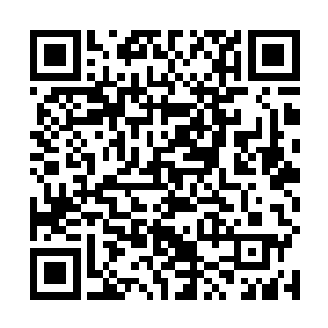 尤其是那一双大长腿简直就是上天所赐的最完美的礼物二维码生成