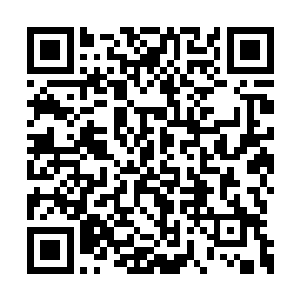 尤其是那些个头明显如同变异过怪物一样的巨狼二维码生成