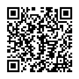 尤其是那些有着人尊期大修士参赛的芥子空间吸引了大量的目光二维码生成