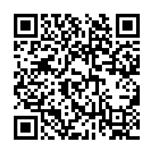 尤其是那些高进的崇拜者们更是恨不得生吞了多洛二维码生成