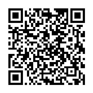 尤其是那大片的鲜血将地上沾染成一片又一片的红色二维码生成