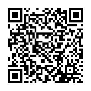 尤其是那女婢俏丽脸庞上犹自保持着鲜活的震惊神情二维码生成