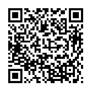 尤其是那每一任定海神珠主人给他留下来的传承记忆二维码生成