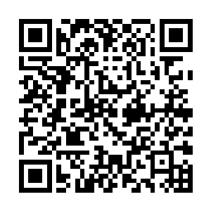 尤其是那虎蛟大妖王毫无顾忌的以神念询问着鳄蛟王二维码生成