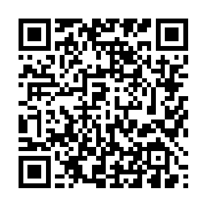 尤其是重点介绍了国有经济这一开现状和存在主要问题二维码生成