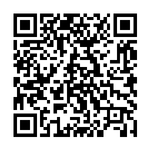 尤其是黑毛天魔主宰入侵的天道世界都是一些比较小二维码生成