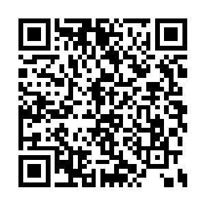 尤其罗至刚更是生平第一次被人以这种借口拒绝二维码生成