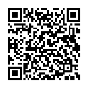 尤其自己和江芷微这种大半实力在剑法刀法上的二维码生成