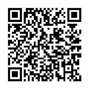 尤其还是听她说谢芳华是秦铮自己逼婚求到手的二维码生成