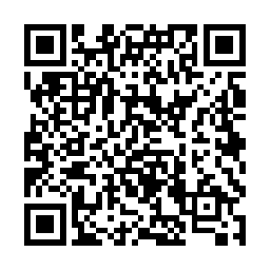 尤其这里面有不少江芷微尊敬但当前已经坐化的长辈二维码生成