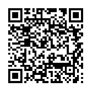 尤其进门后又看到玉宝儿哭得整张脸都通红通红的二维码生成