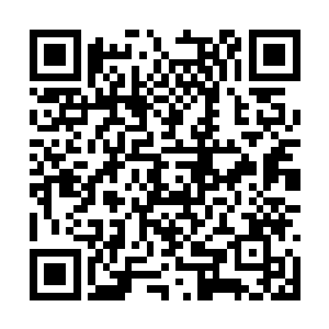 尤其顾倩琳一双美丽的眼睛有着晶莹的东西在闪动二维码生成