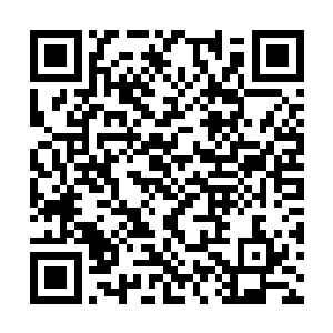 尤利娅这个专攻经济的人都提不出什么有用的建议二维码生成