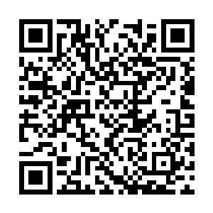 就一下子从一档出力到一百档出力随机选择的汽车二维码生成