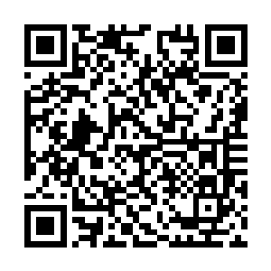 就一定是在初七这一天……也一定会在初七这一天二维码生成