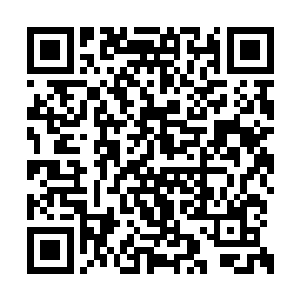 就一脚将一个正从沈冰手上抢夺手机的女人踢飞二维码生成