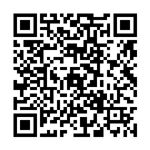 就不可能在这么多年之中一直克制住自己不来寻我二维码生成