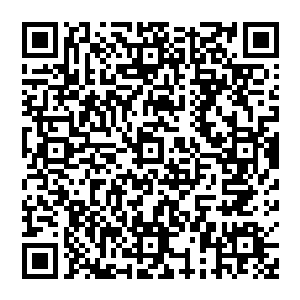 就不可能有闲极无聊的大地骑士或者幻影骑士这一级的高手一天有事没事就喜欢在荒郊野外的岩浆里泡着二维码生成