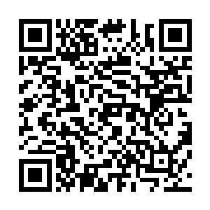 就不得不成为一个破碎的玩偶一样倒在了坚硬的厂区道路上二维码生成