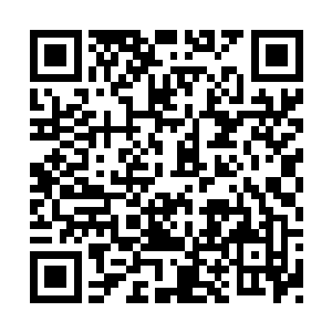 就不是他们这些存活下来的域外天魔能够抵挡的二维码生成