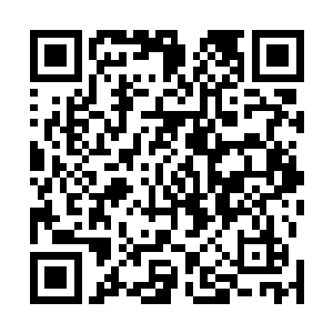 就不算那些目前可能根本接不到什么正式角色的小演员了二维码生成