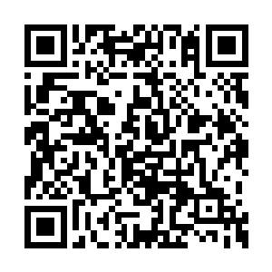 就不能够炼制一种丹药将那颗魔族种子麻痹起来二维码生成