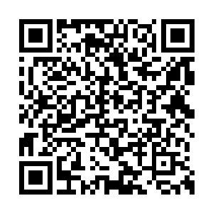 就为了最终能够登上星舰的人口比例而争论不休二维码生成