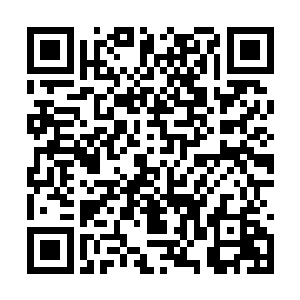 就仅仅只是这样看着她走近自己都会觉得欣喜心跳二维码生成