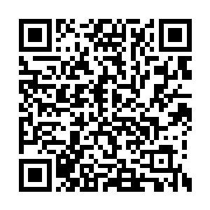 就从一个网管和一个网吧的客人那里得到了线索二维码生成