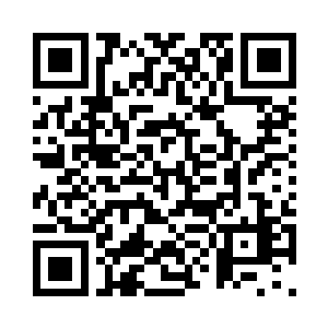 就从红高粱这样的一部电影开始出道二维码生成