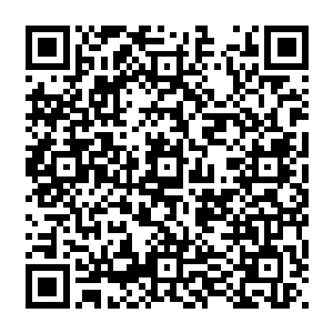 就从这简短的对话中充满了庞大信息量…不过梓箐却没心情去梳理他们之间的恩怨情仇二维码生成