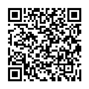 就他那搭档政委翟远方也得喊着撵着的向他妈报告二维码生成
